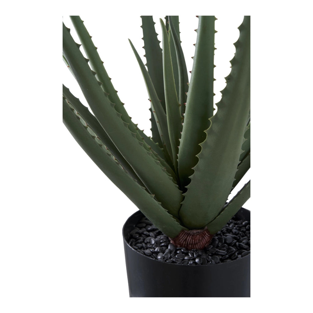 Pianta Artificiale Aloe, Verde, Plastica PE, 30,5x30,5x51 cm
