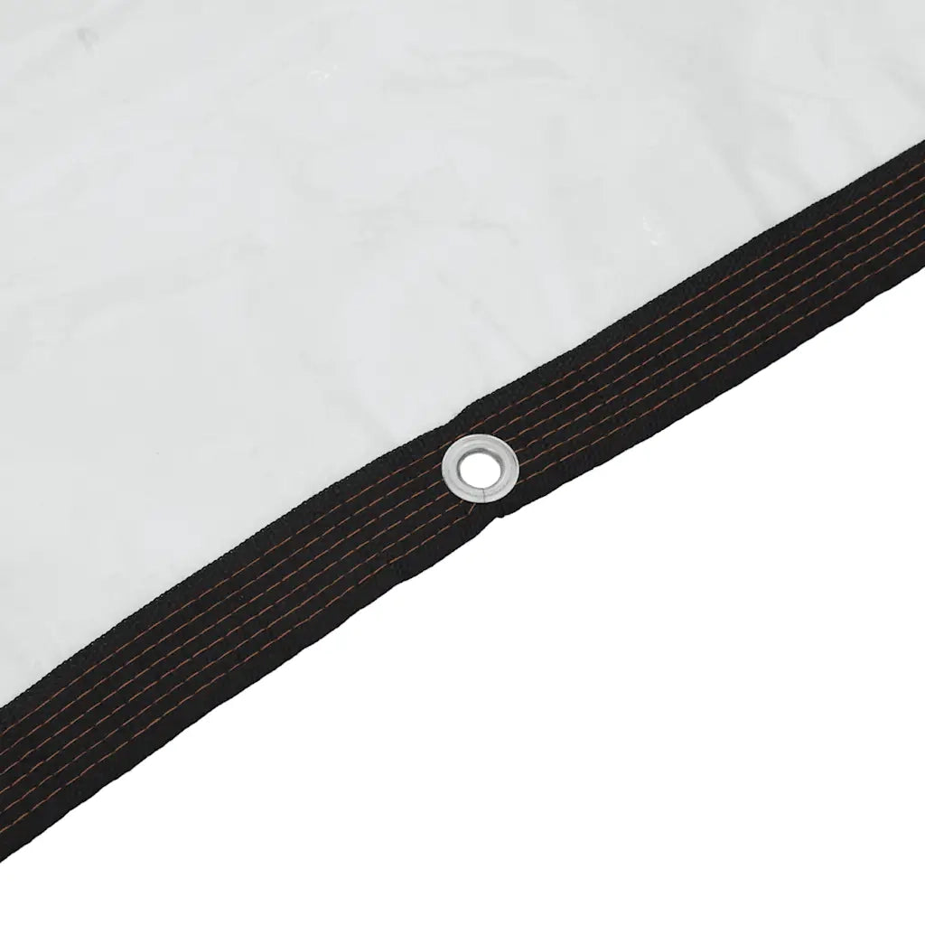 Telone Trasparente con Occhielli 2x12 m in Polietilene 4018554