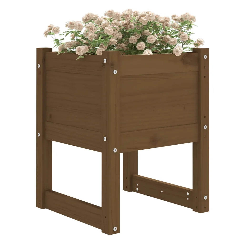 Fioriera | Cassetta per fiori | Vaso Marrone Ambra 40x40x52,5 cm in Legno Massello di Pino