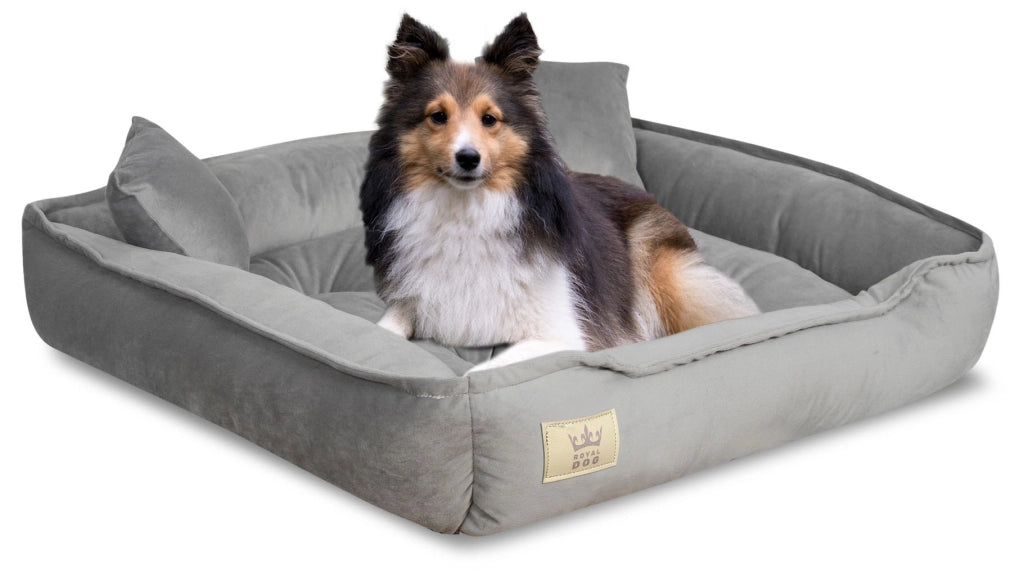 AIO FACTORY Cuccia per cani 75x65 cm in velluto grigio con cuscino impermeabile