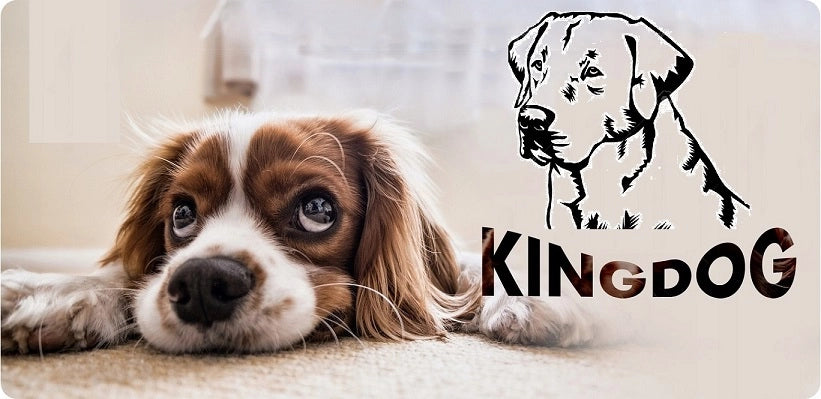 AIO FACTORY 55x45 cm KINGDOG Cuccia per cani impermeabile personalizzabile Beige