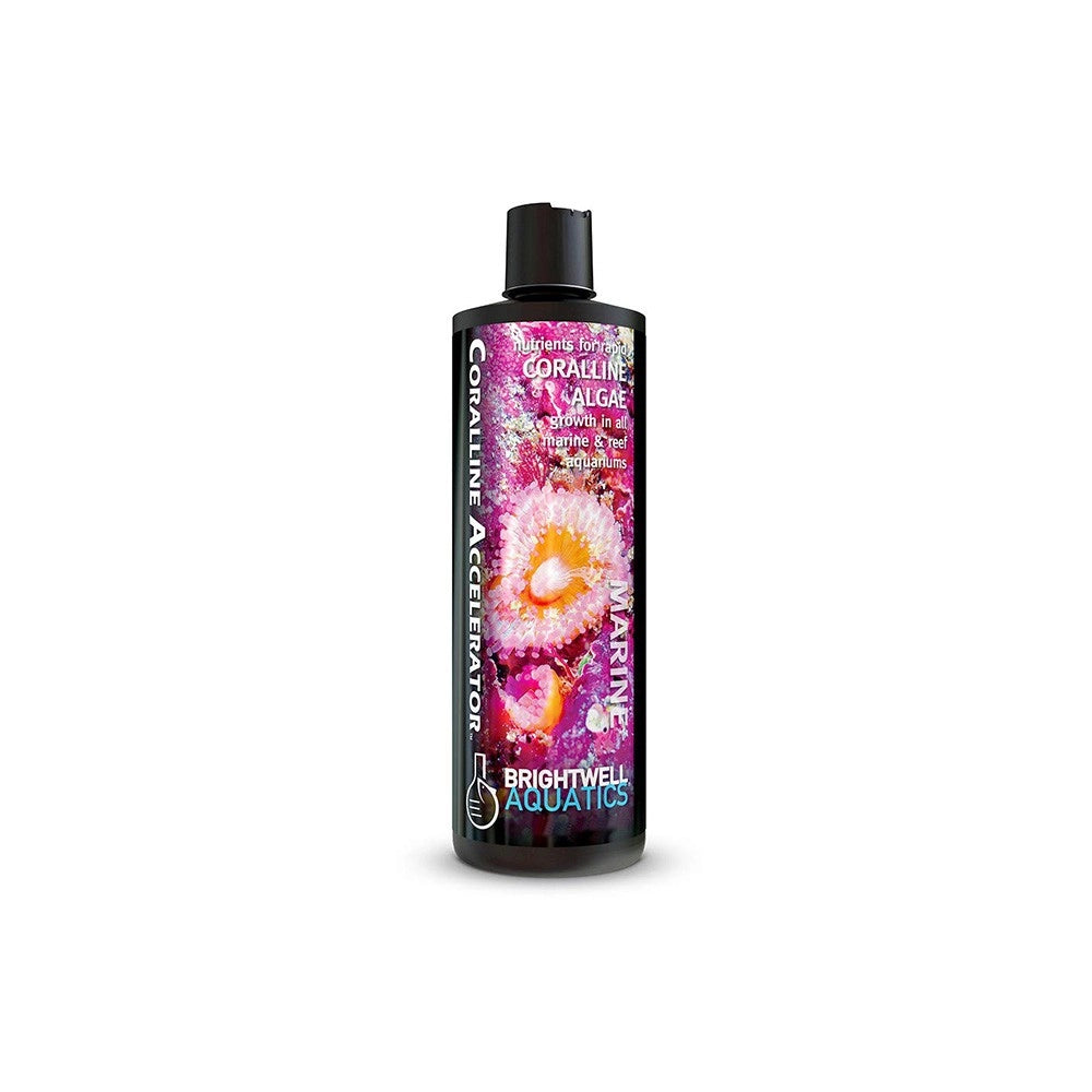 Brightwell Aquatics Coralline Accelerator - stimolatore di alghe coralline Formato: 250 ml