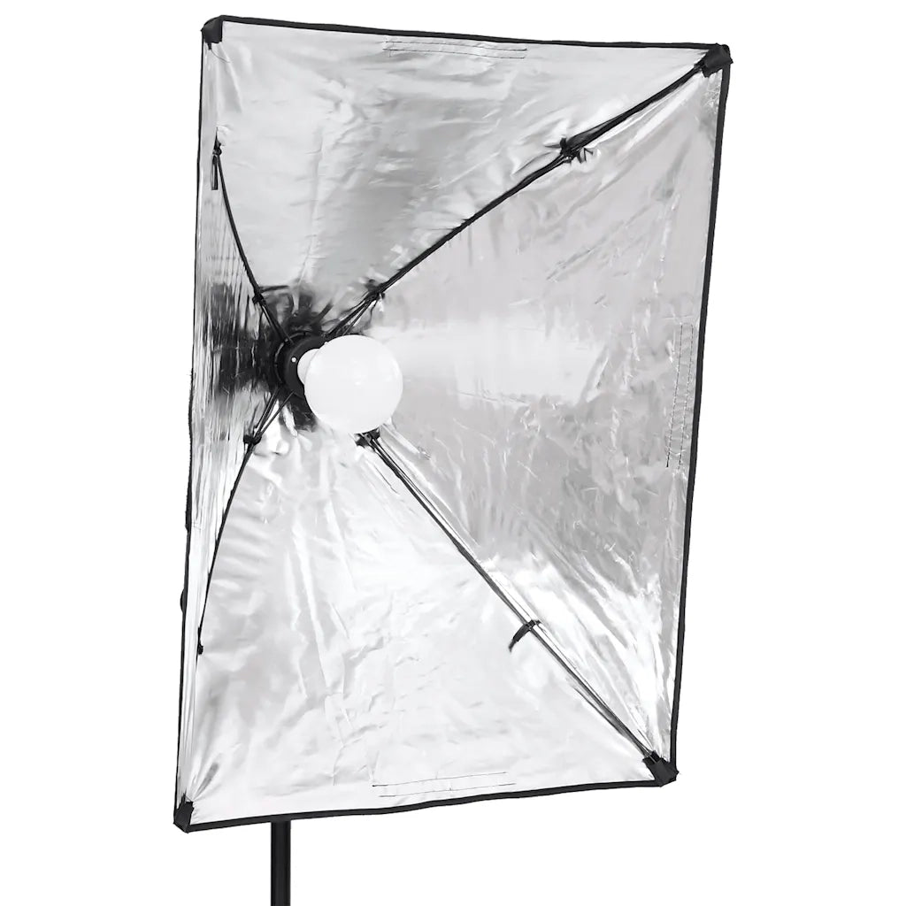 Kit per Studio Fotografico con Set Luci, Fondale e Riflettore 3094763