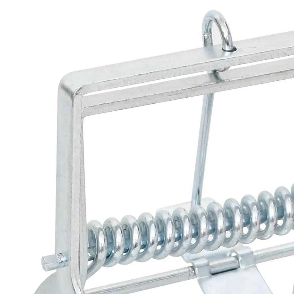 Trappole per Talpe 4 pz Argento Acciaio Zincato CFW2909574