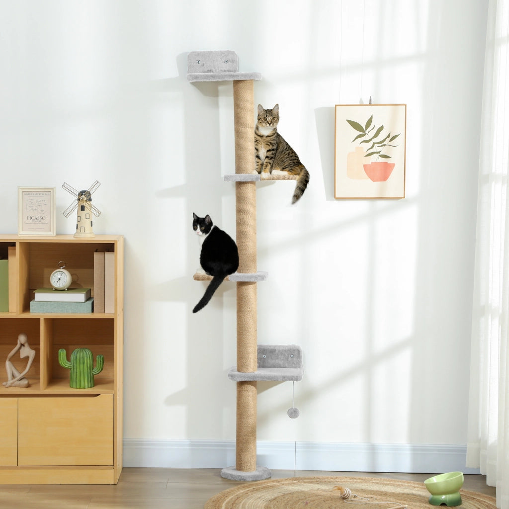 Ripiani per Gatti ¨C zephmum ¨C Grigio 180 cm