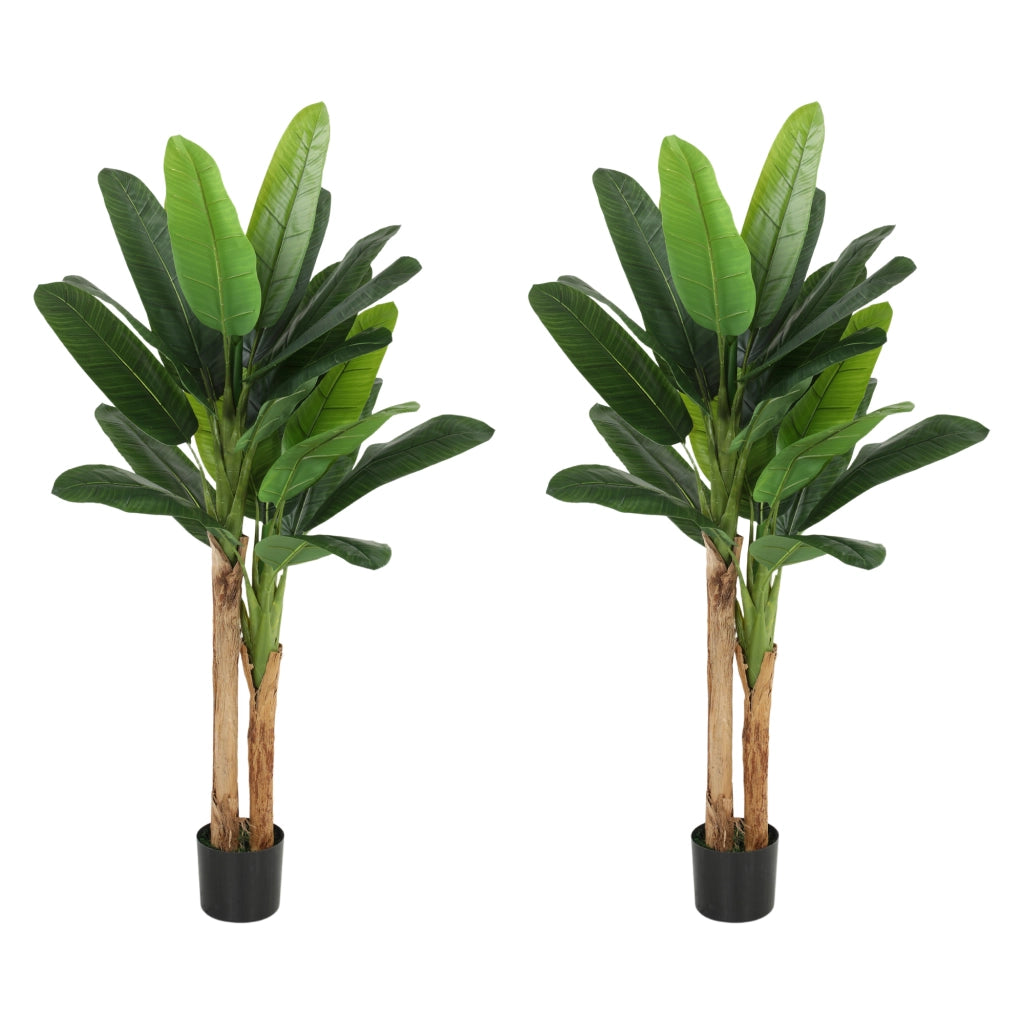 Pianta Artificiale Banano 150cm ¨C Xylo ¨C Set 2 Pezzi con Vaso