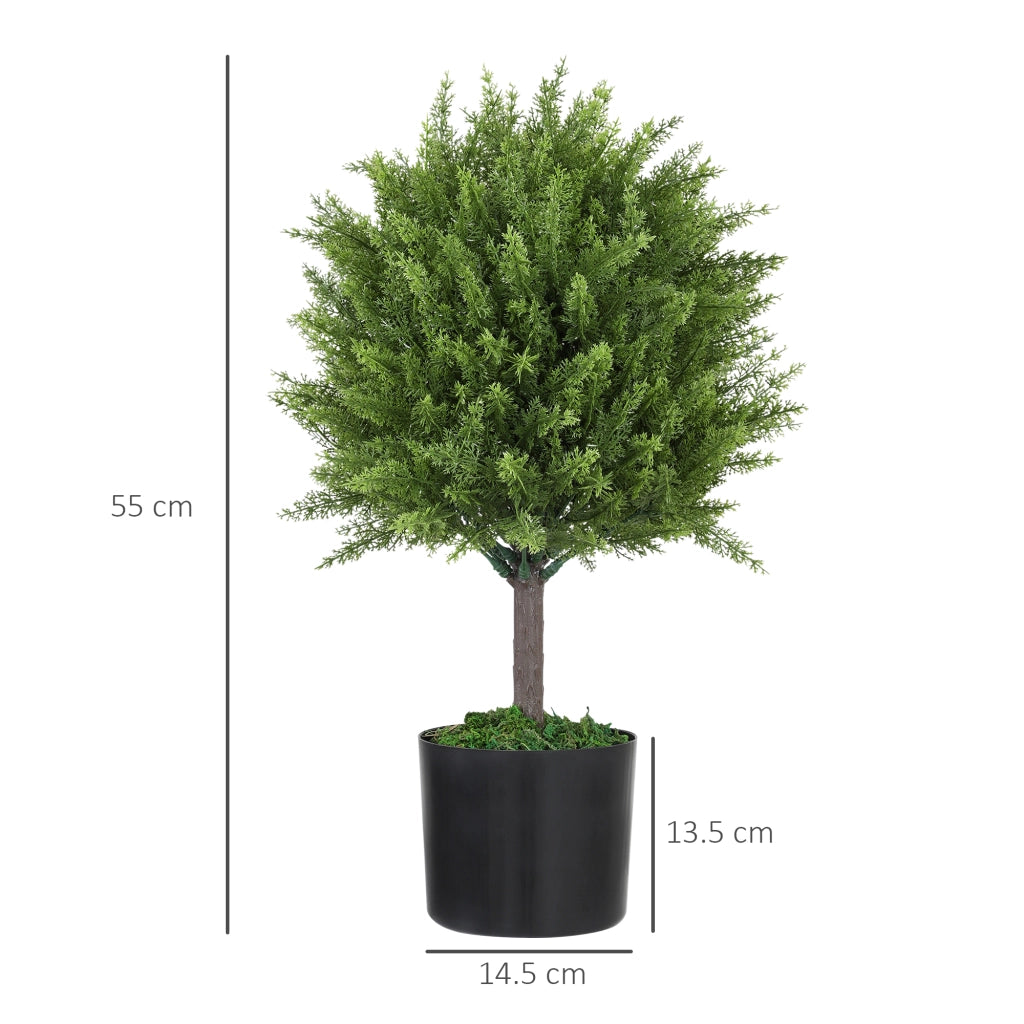 Albero Finto Cedro con Vaso ¨C Minimal ¨C Verde 55 cm