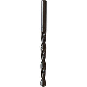 PUNTA ELICOIDALE 'RULLATA' 5,5 mm - 10 pezzi- ECEF