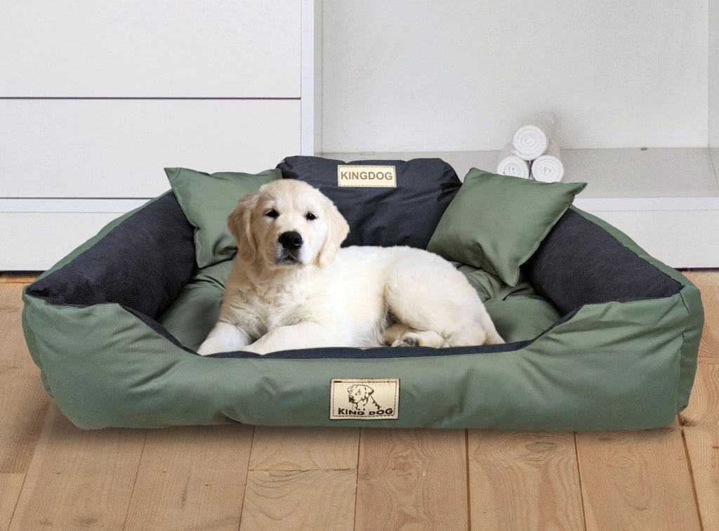 AIO FACTORY 100x75 cm KINGDOG Cuccia per cani impermeabile personalizzabile Verde