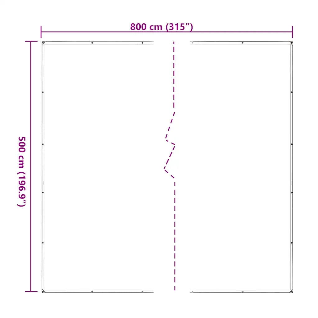Telone Trasparente con Occhielli 5x8 m in Polietilene 4018526