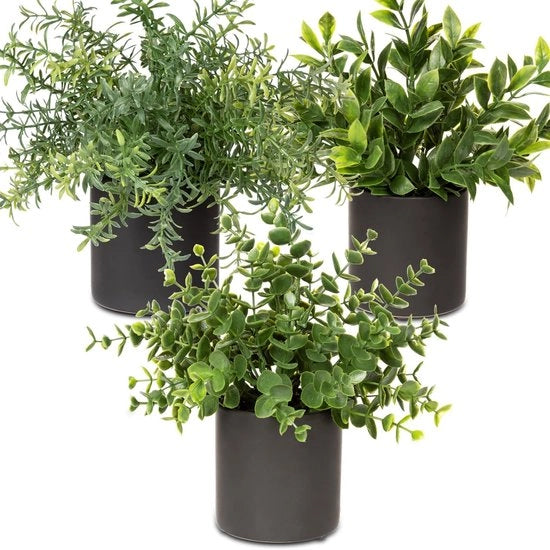 Set di 3 piante artificiali in vaso - Eucalipto e Rosmarino decorativo