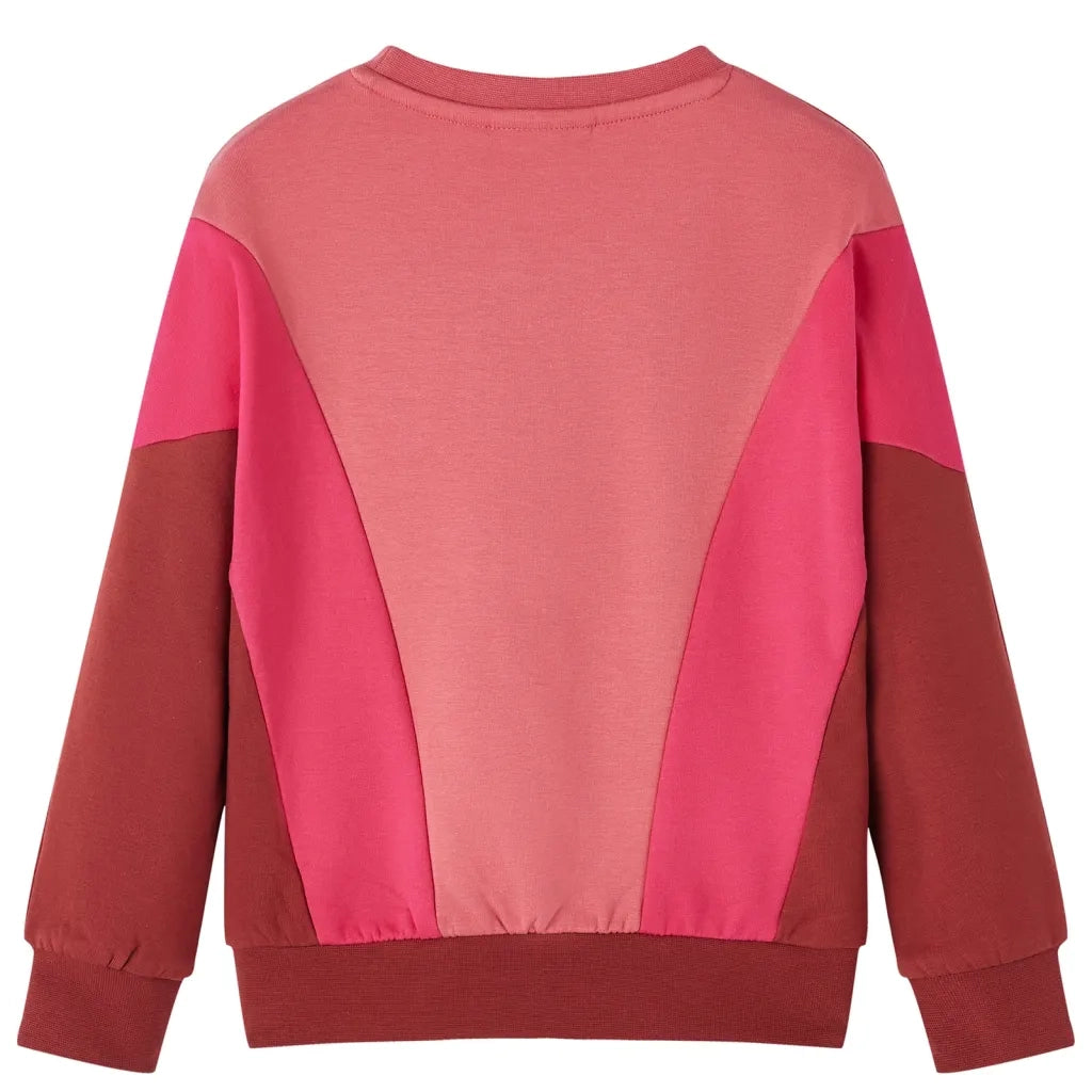 Felpa da Bambino Color Block Rosa e Henn¨¦ 116