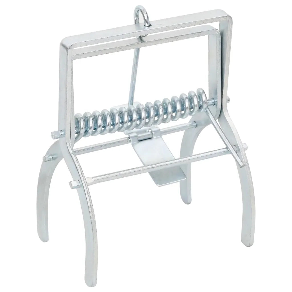 Trappole per Talpe 4 pz Argento Acciaio Zincato
