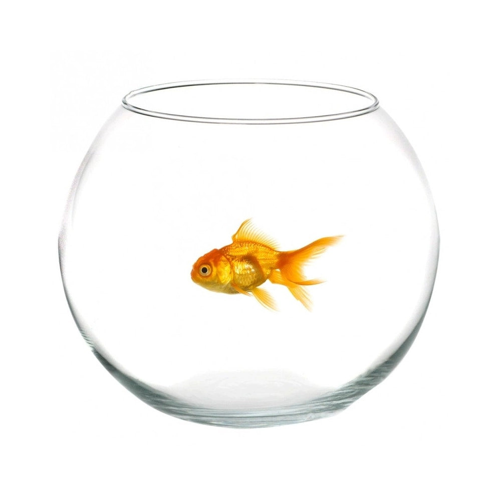 Trade Shop - Ampolla Boccia Per Pesci In Vetro 30 Cm Acquario Pesce Rosso Centrotavola -