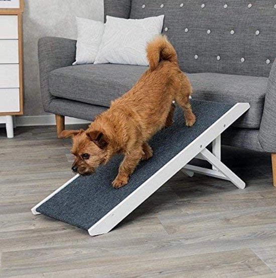 Scale per gatti e cani / scala per cani e gatti