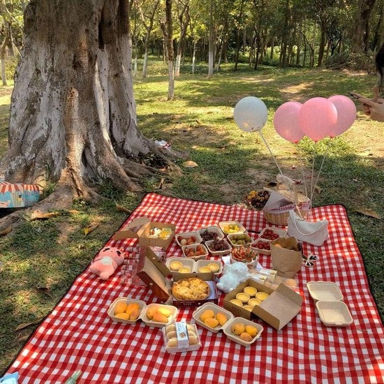 Picnic mand con coperchio e maniglia per pic nic, feste e serate di barbecue - Stile rurale