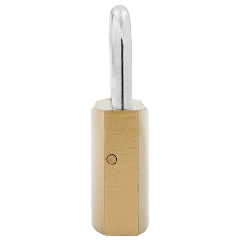 U Lock con Chiavi 12 pcs Ottone Ferro 42021900
