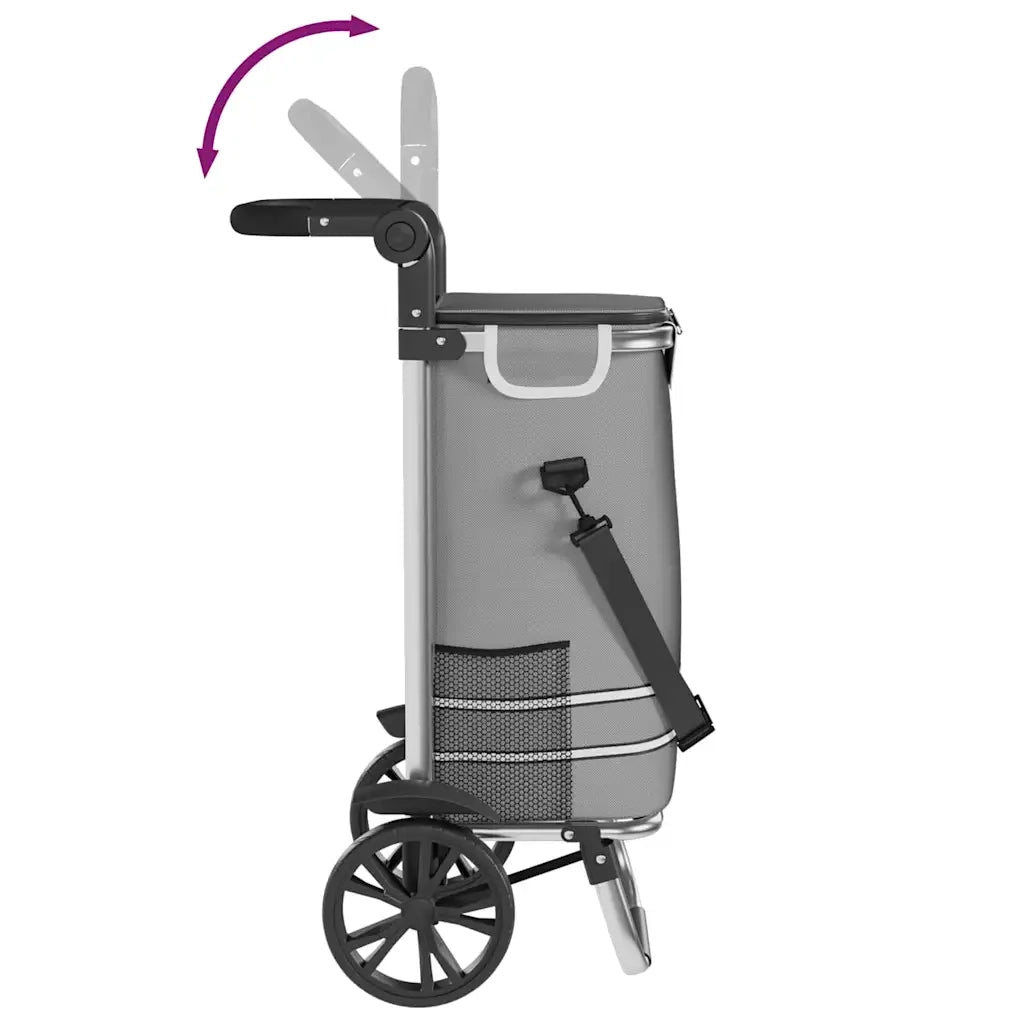 Carrello della spesa Grigio 36,5 x 46,5 x 100,5 cm CFW8290722