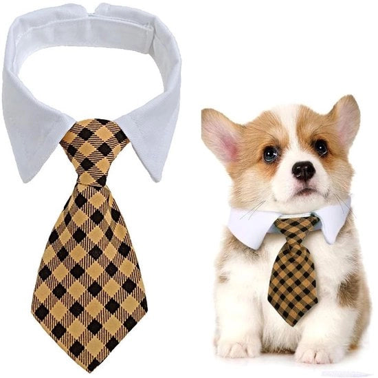 Collare per cani adattabile - Collare per cani - Collare a farfalla - Collare per cuccioli formale a farfalla - Costume - Adatto per occasioni speciali