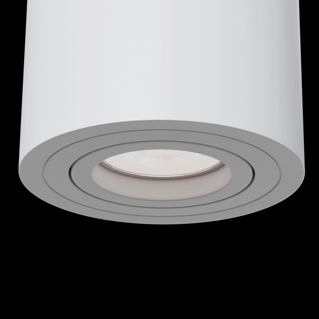 Plafoniera Ceiling & Wall in Alluminio Alfa Bianco