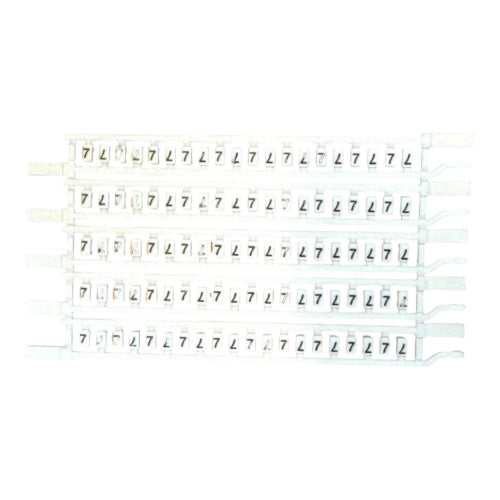 CSC/77 TABELLA 100 CARTELLINI 7