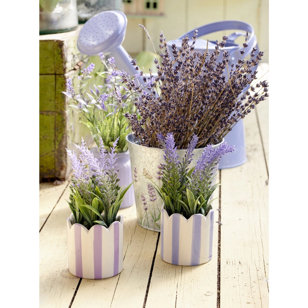 LAVANDA D.7XH18CM CON VASO IN PORCELLANA A RIGHE