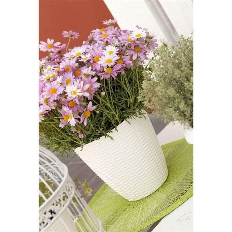 BAMA PORTAVASO PAGLIA 14CM ANTRACITE