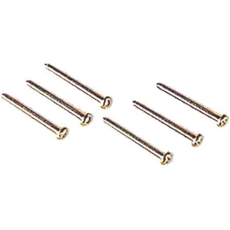 VITI PER SUPPORTI 50 mm - 100 pezzi- EC ELETTROCANALI