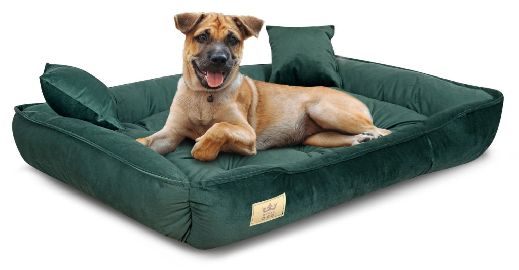 AIO FACTORY 100x75 cm Letto per cani in velluto verde scuro impermeabile