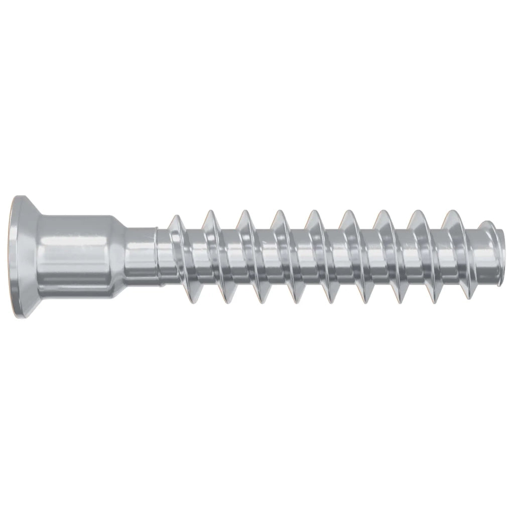 Vite a testa cilindrica 2900 pcs Argento Acciaio 864381