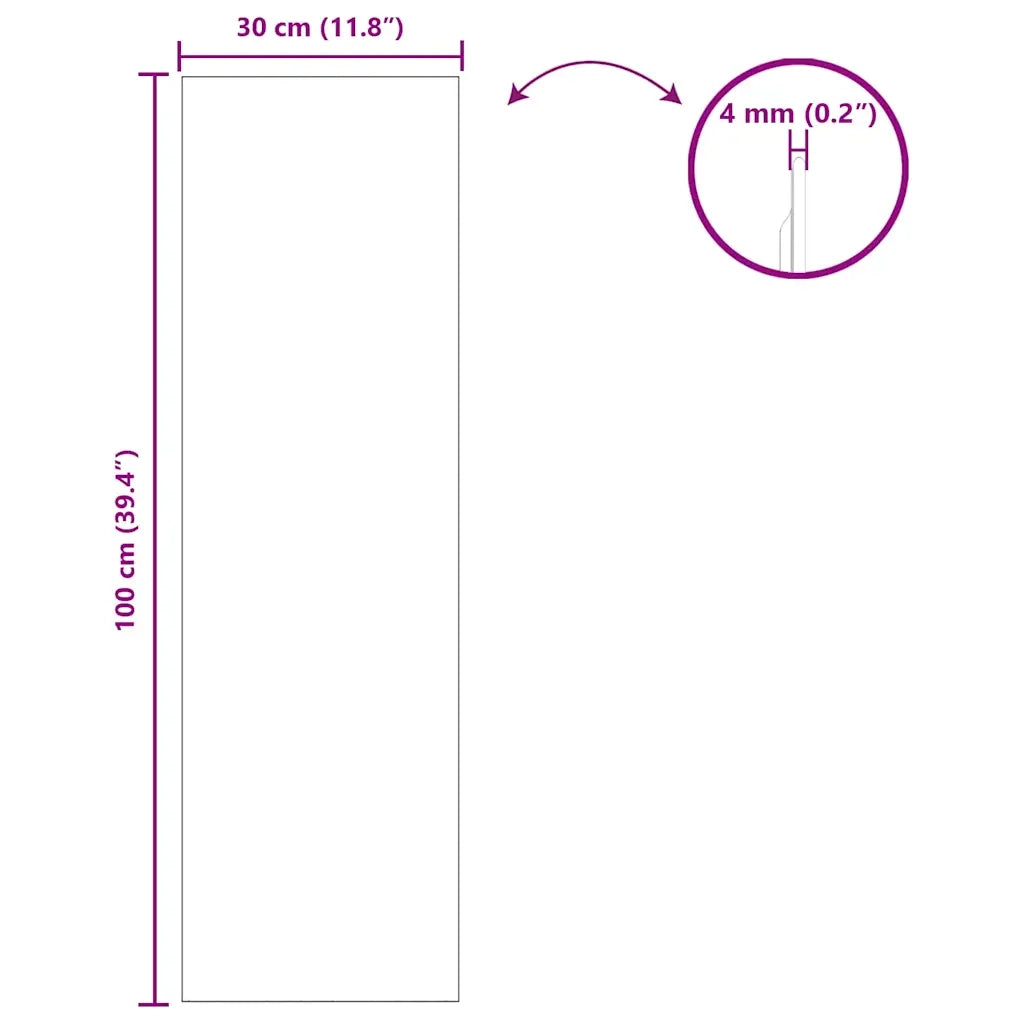 Specchio da parete Rettangolare 30 x 100 cm vetro temperato 42023022