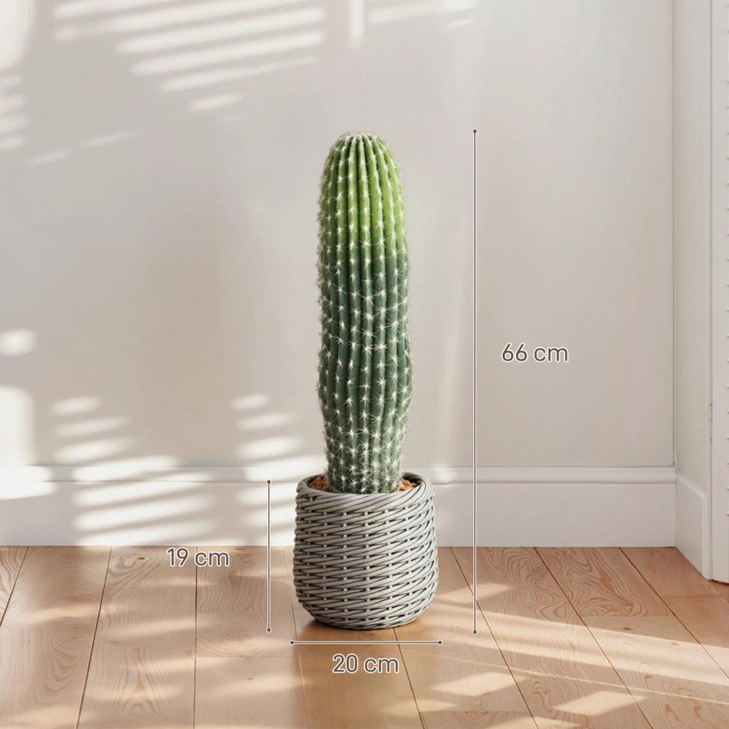 Cactus Artificiale Decorativo 66cm ¨C Xylo ¨C Verde con Vaso