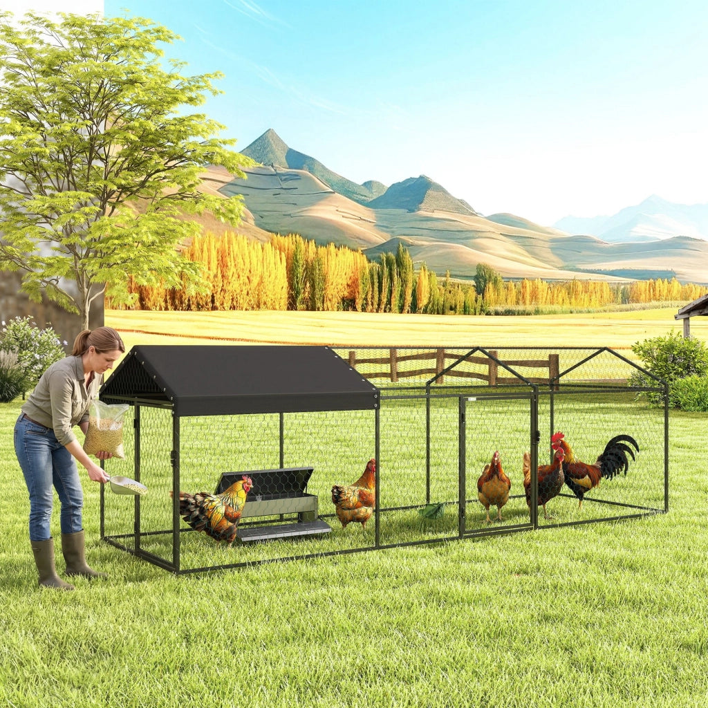 Pollaio per Galline ¨C Minimal ¨C Acciaio Zincato 3x1x1m