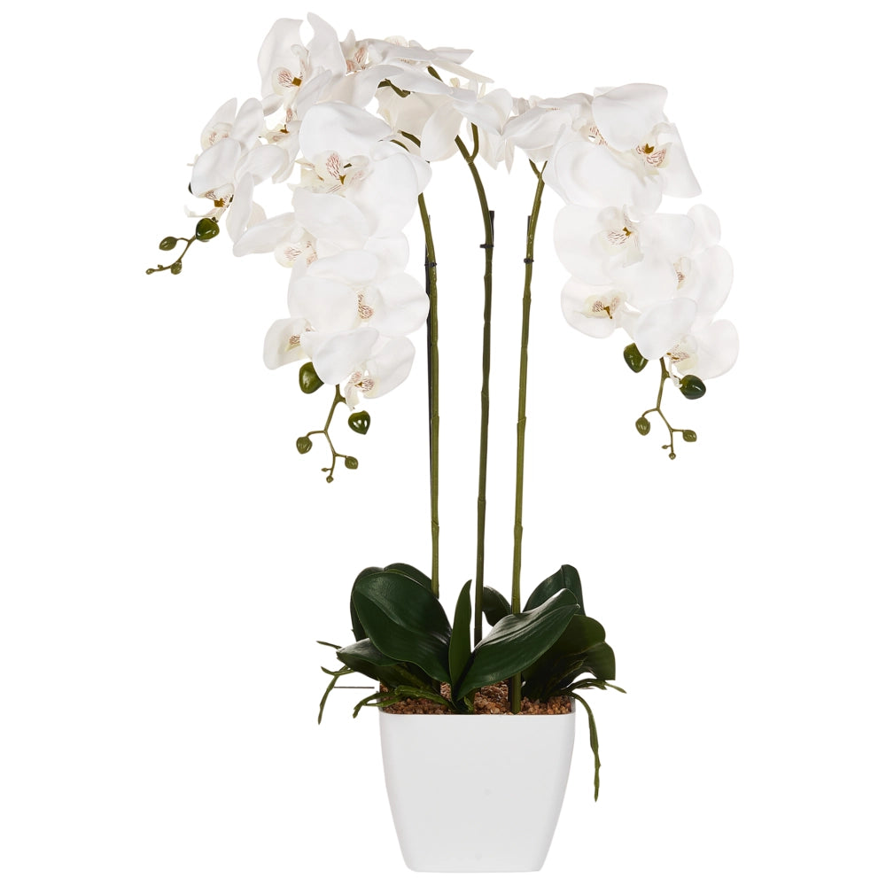 Pianta artificiale con vaso in plastica 59 cm accessorio decorativo boho