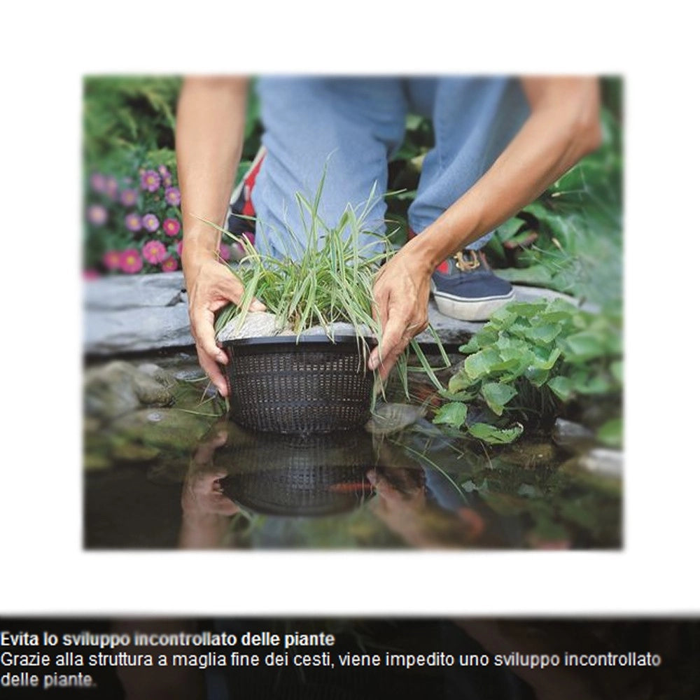Multipack da 5 cesti per piante acquatiche quadrati dimensioni 25 cm cadauno