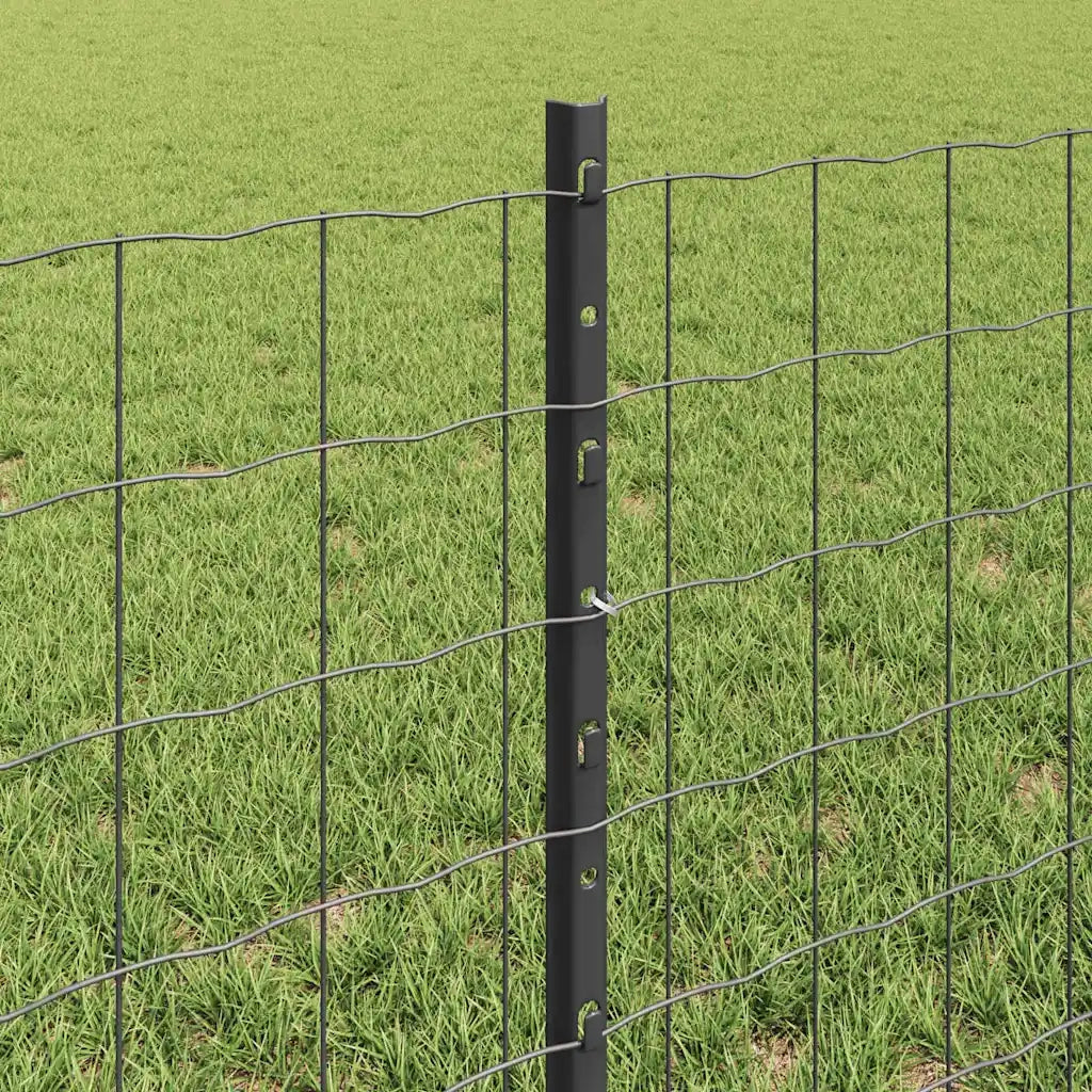 Recinzione da Giardino | Recinzione con Posto Grigio