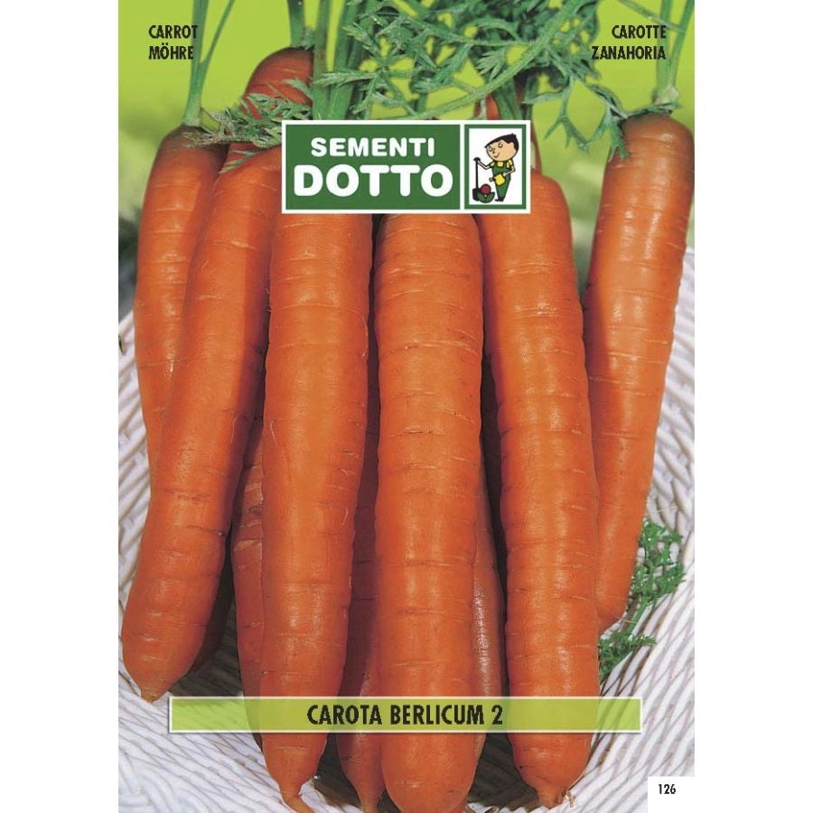 SEMENTI EXTRA_CAROTA BERLICUM 2