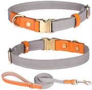 Collare per cane adattabile - Cinturino 1,5 cm x 150 cm - Pelle nylon - Ferro di sicurezza in acciaio inossidabile - Respira e leggero