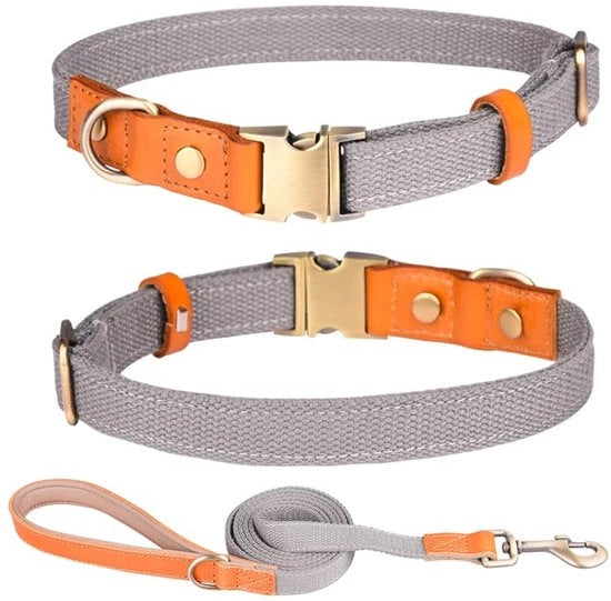 Collare per cane adattabile - Cinturino 1,5 cm x 150 cm - Pelle nylon - Ferro di sicurezza in acciaio inossidabile - Respira e leggero