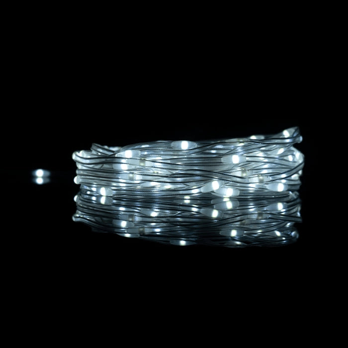 Luci Natale esterne 10m 100LED 6500K BT USB Ecolight