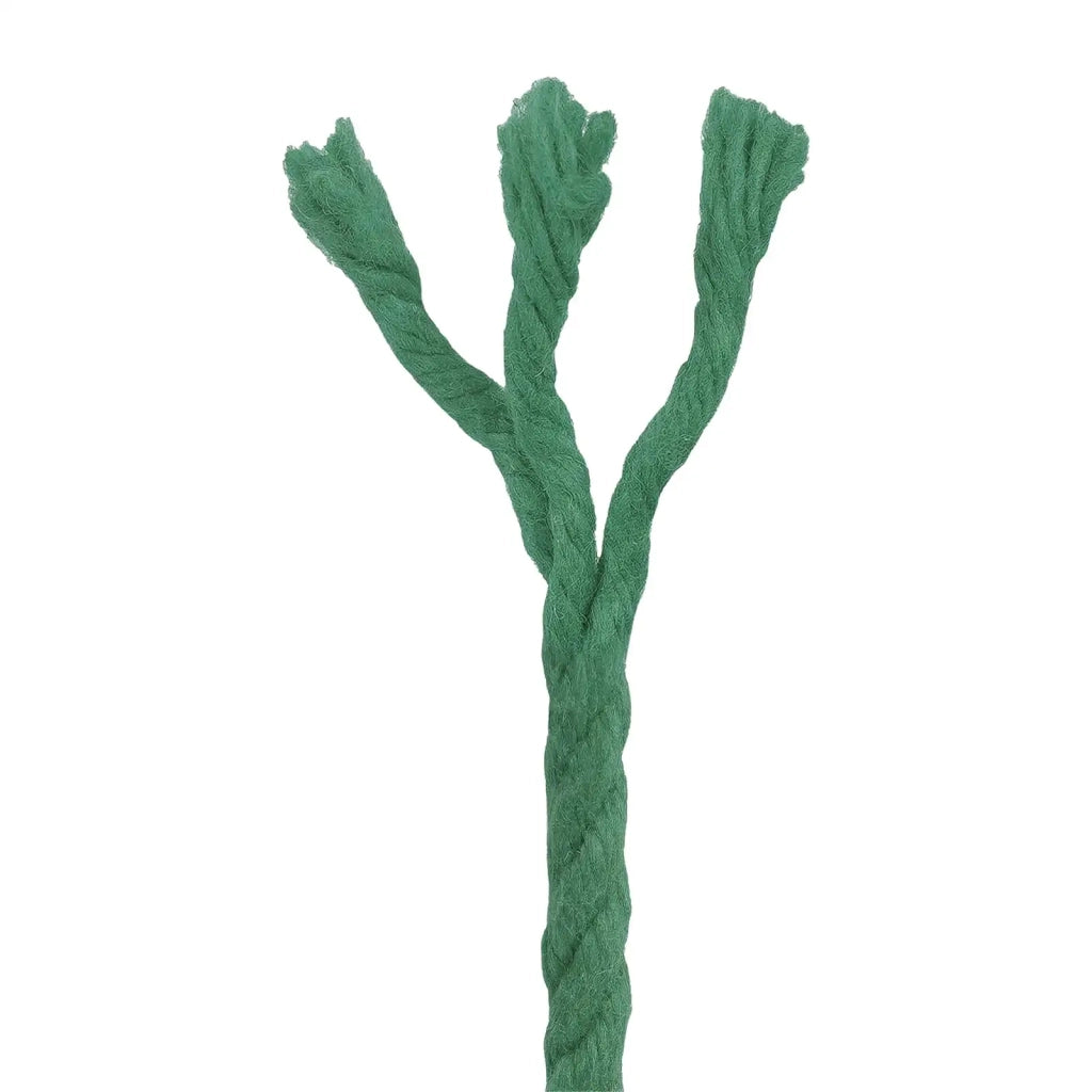 Corda Verde 0,4 x 0,4 x 5000 cm Cotone 42011942