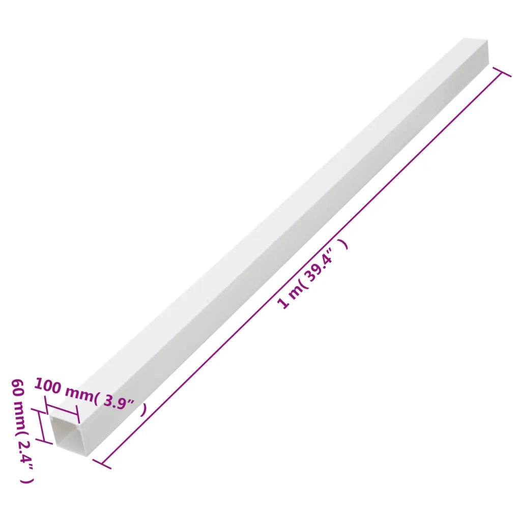 Canalina per Cavi 100x60 mm 10 m in PVC 155923