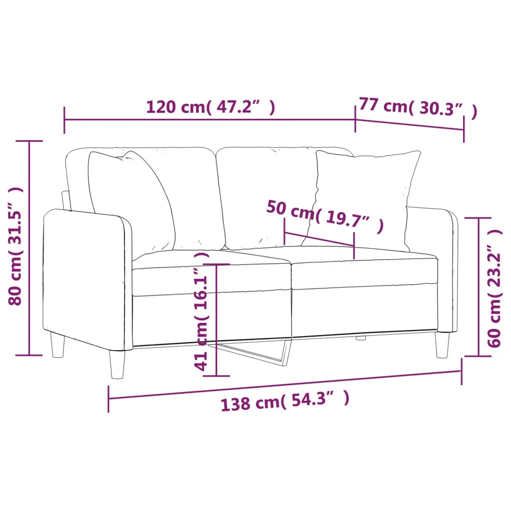 Divano a 2 Posti con Cuscini-Sofa 2 Posti con Cuscini Grigio Chiaro 120 cm in Tessuto 243983