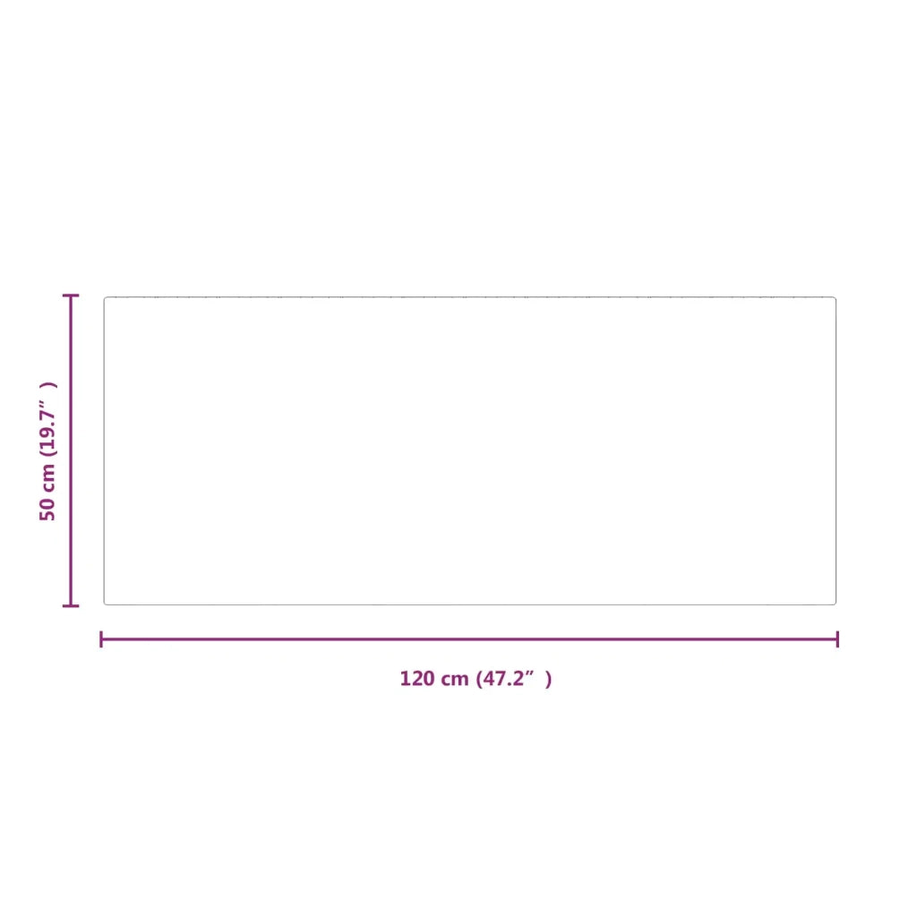 Piastra in vetro per camino Trasparente 120 x 50 cm Vetro CFW7884359