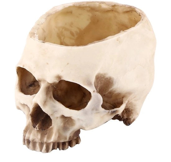 Vaso di fiori decorativo per Halloween