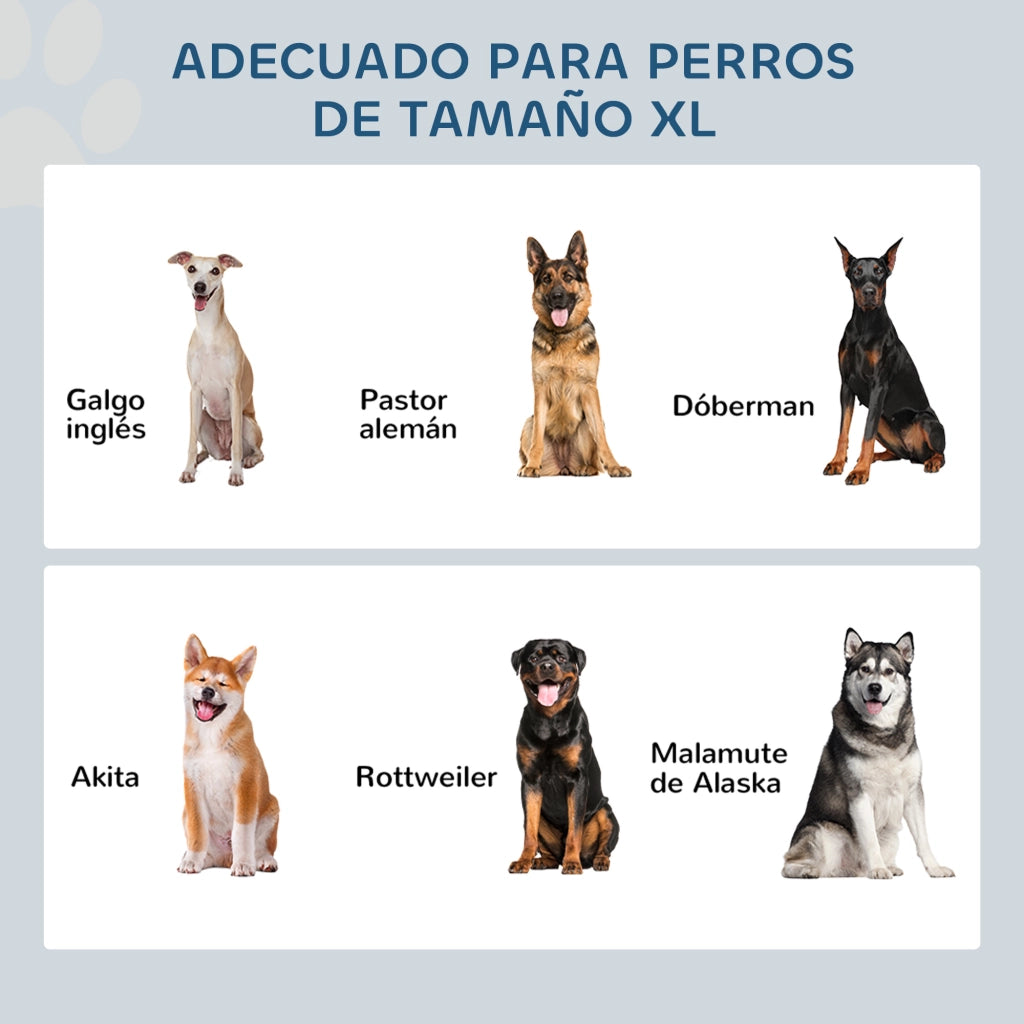 Ciotola per Cane con Alimentatore e Contenitore ¨C Minimal ¨C Grigio 60x30x41 cm