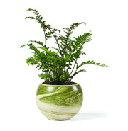 Vaso Ischia Materiale: Ceramica, Colore: Mercurio Marrone