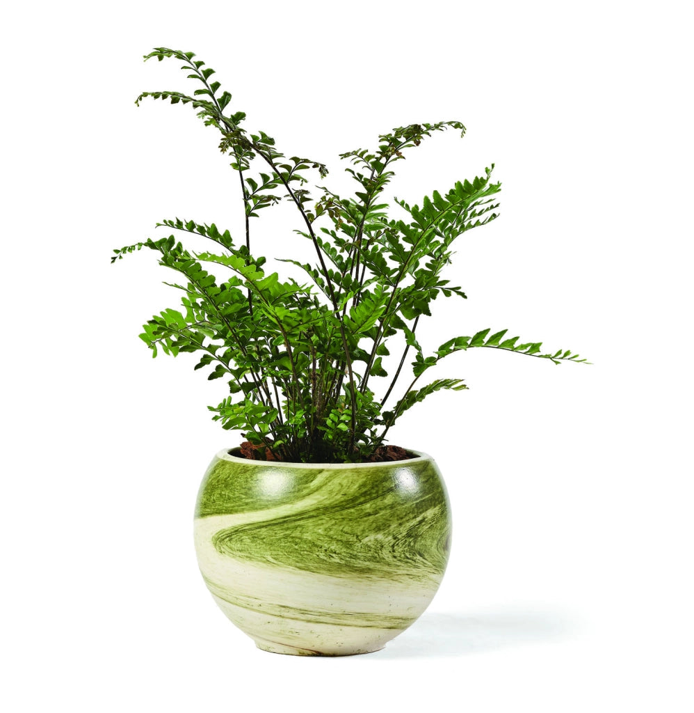 Vaso Ischia Materiale: Ceramica, Colore: Mercurio Marrone