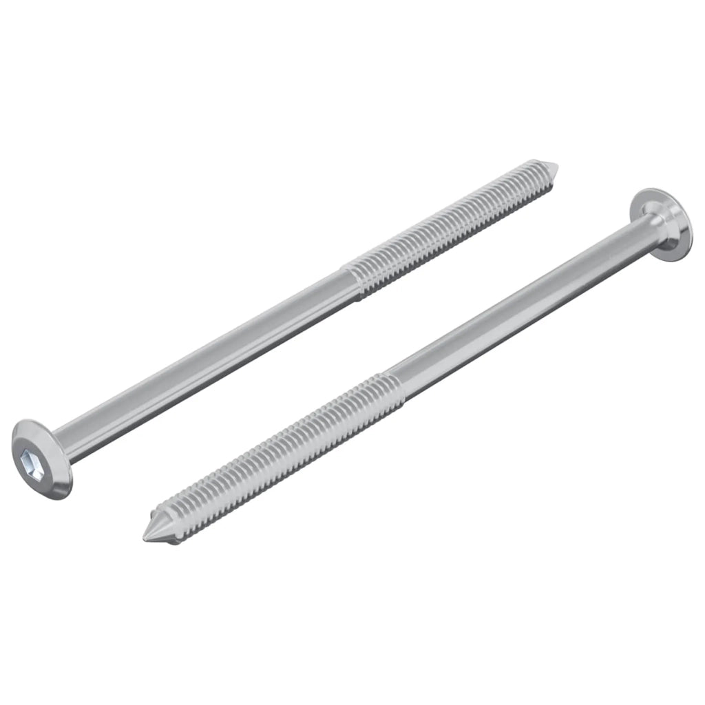 Vite 2 pz Argento M6 x 100 mm Acciaio CFW5580682