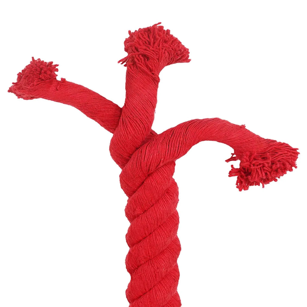 Corda Rosso 6 x 6 x 500 cm Cotone 42011938